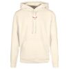 Basic hoodie Thumbnail