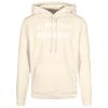 Basic hoodie Thumbnail