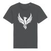 Rocker the essential unisex t-shirt (STTU758) Thumbnail