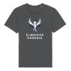 Rocker the essential unisex t-shirt (STTU758) Thumbnail