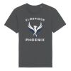 Rocker the essential unisex t-shirt (STTU758) Thumbnail